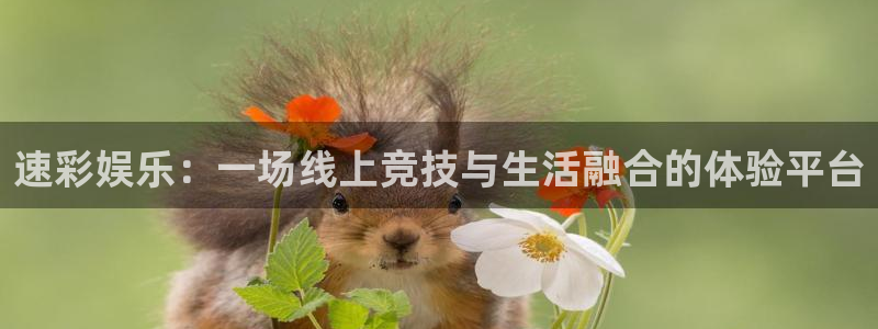 庄闲和游戏官网：速彩娱乐：一场线上竞技与生活融合的体验平台