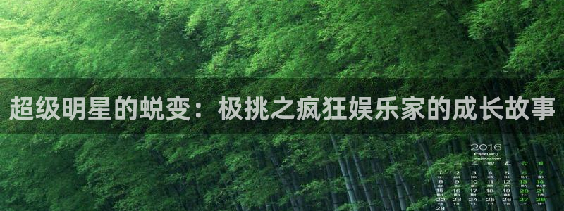 庄闲和游戏官网：超级明星的蜕变：极挑之疯狂娱乐家的成长故事