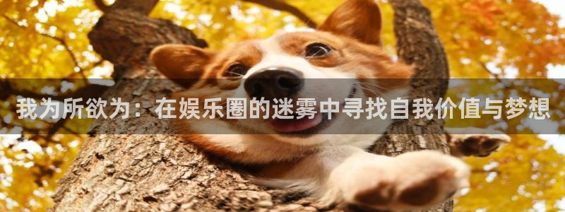 庄闲和游戏官网：我为所欲为：在娱乐圈的迷雾中寻找自我价值与梦想