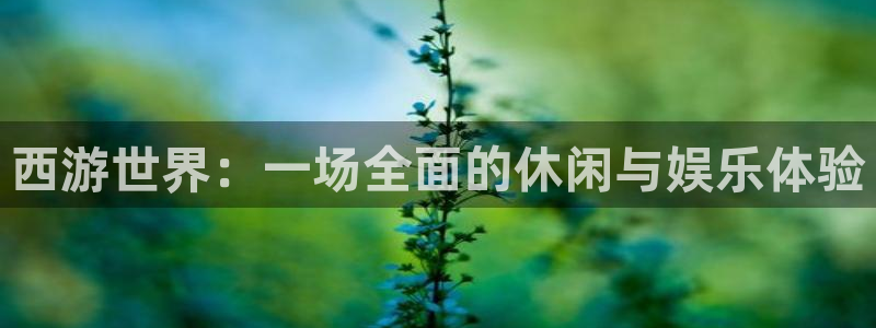 庄闲和游戏官网：西游世界：一场全面的休闲与娱乐体验